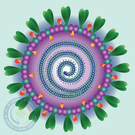 Віруси і противірусні препарати