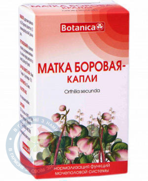 Матка борова краплі 50мл