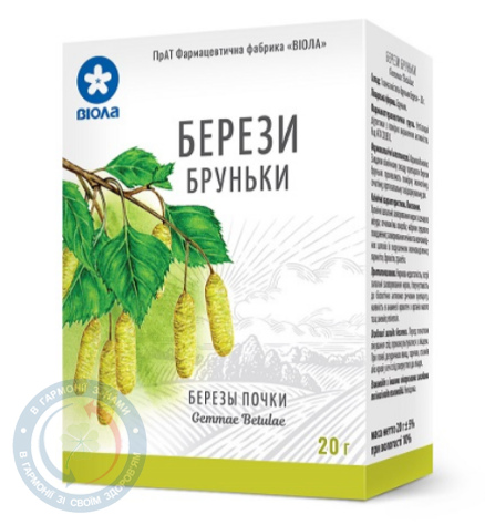 Берези бруньки Віола
