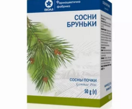 Соснові бруньки 50г