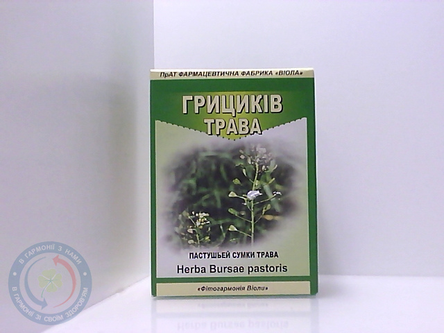 Грициків трава Віола